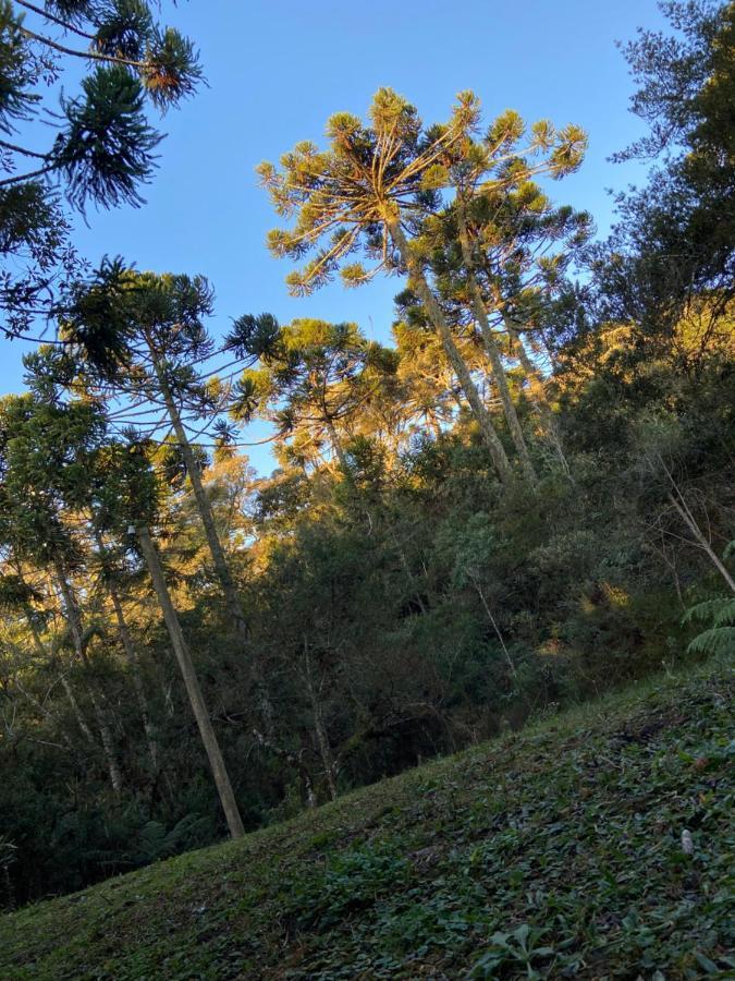 Chales Campo Verde Camanducaia Exterior foto