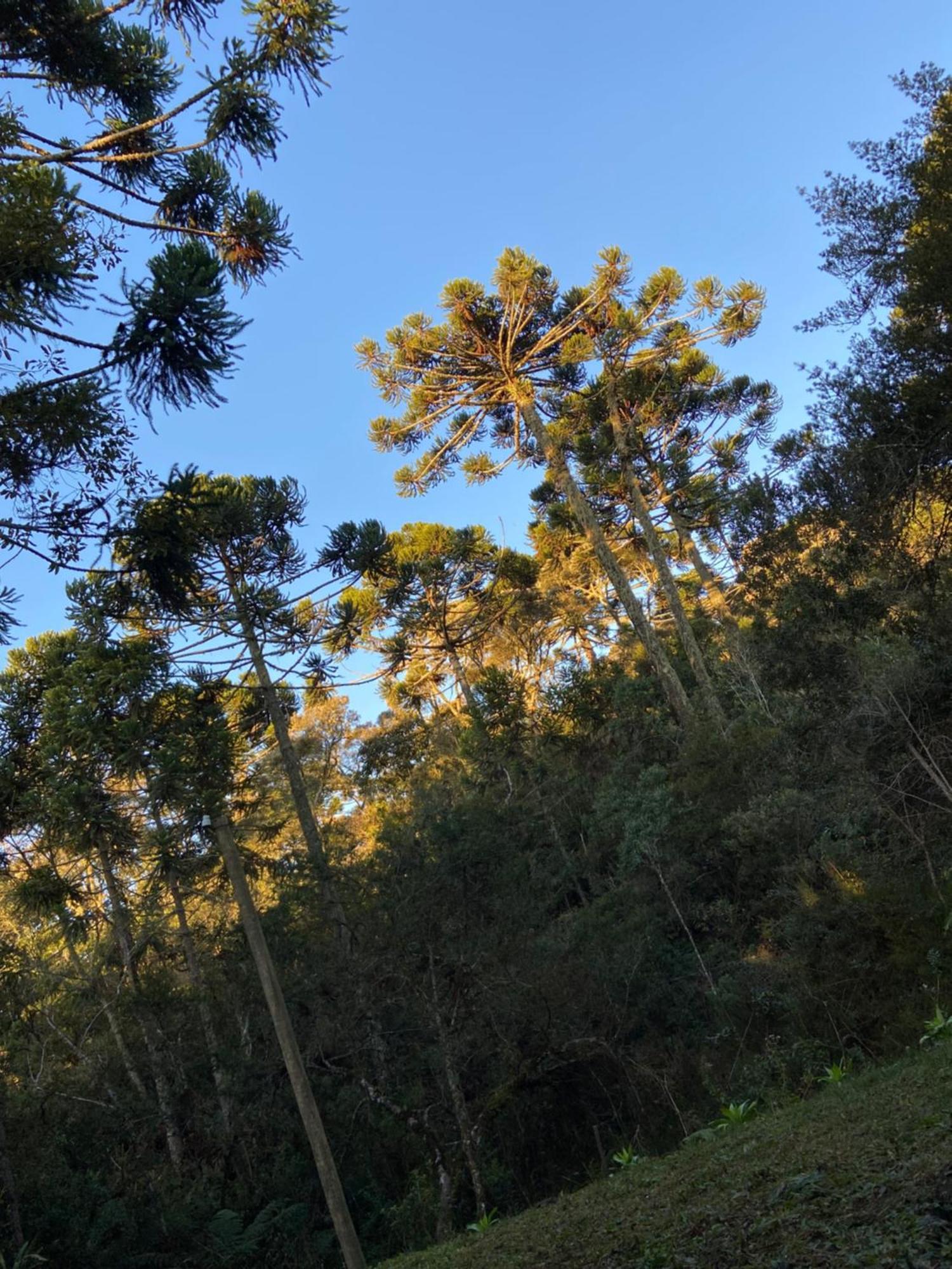 Chales Campo Verde Camanducaia Exterior foto