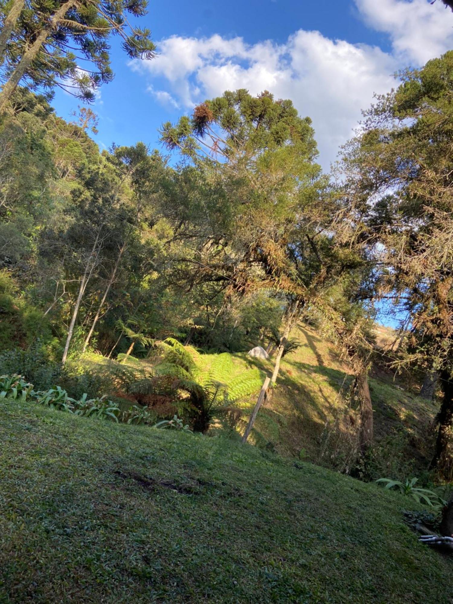 Chales Campo Verde Camanducaia Exterior foto